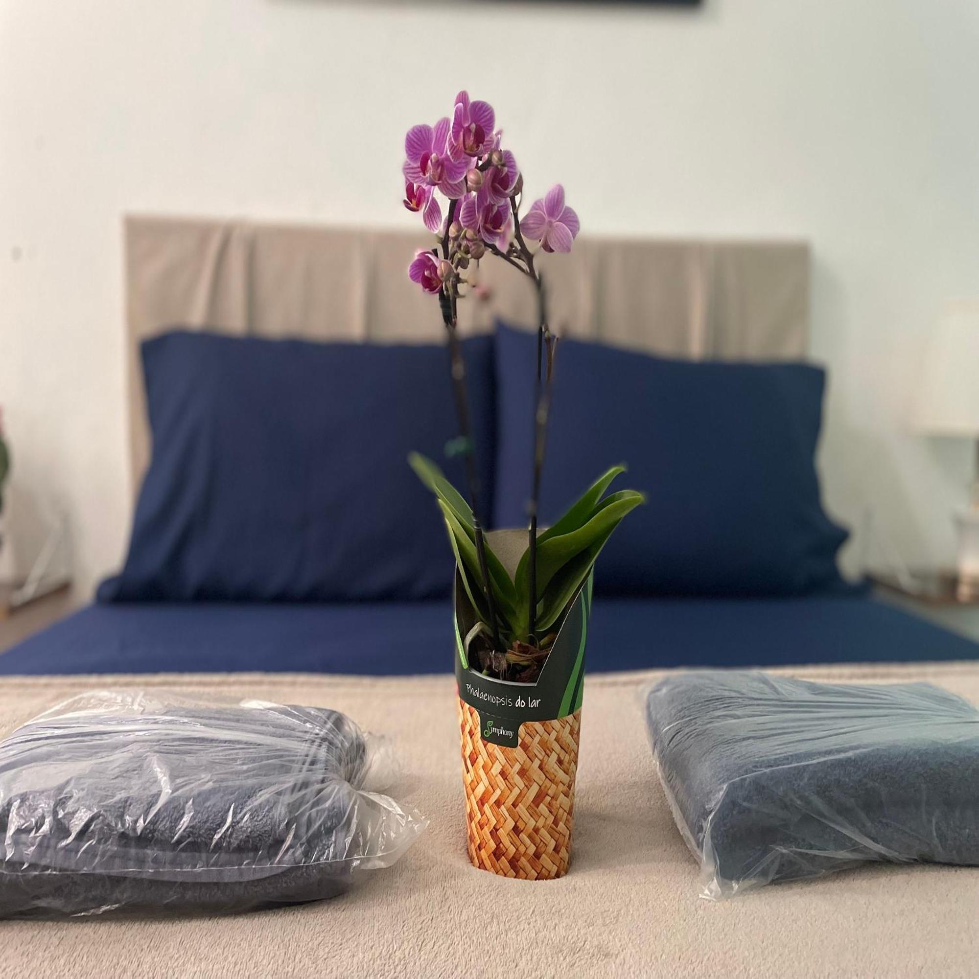 Hope Hostel Praia Do Morro 瓜拉派瑞 外观 照片