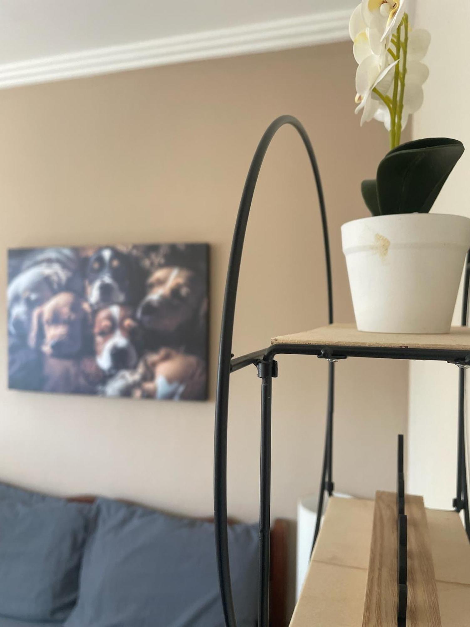 Hope Hostel Praia Do Morro 瓜拉派瑞 外观 照片